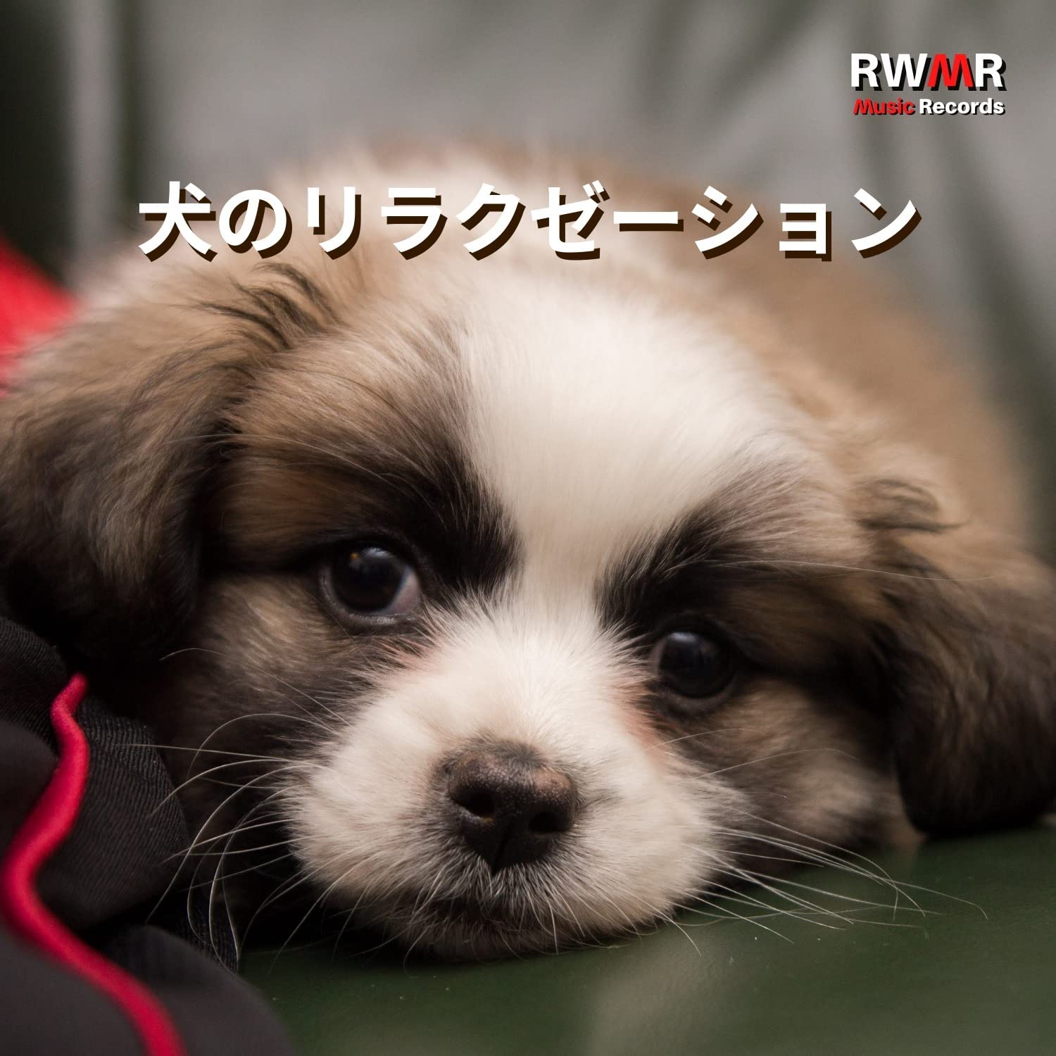 RW 犬のバックグラウンドミュージック