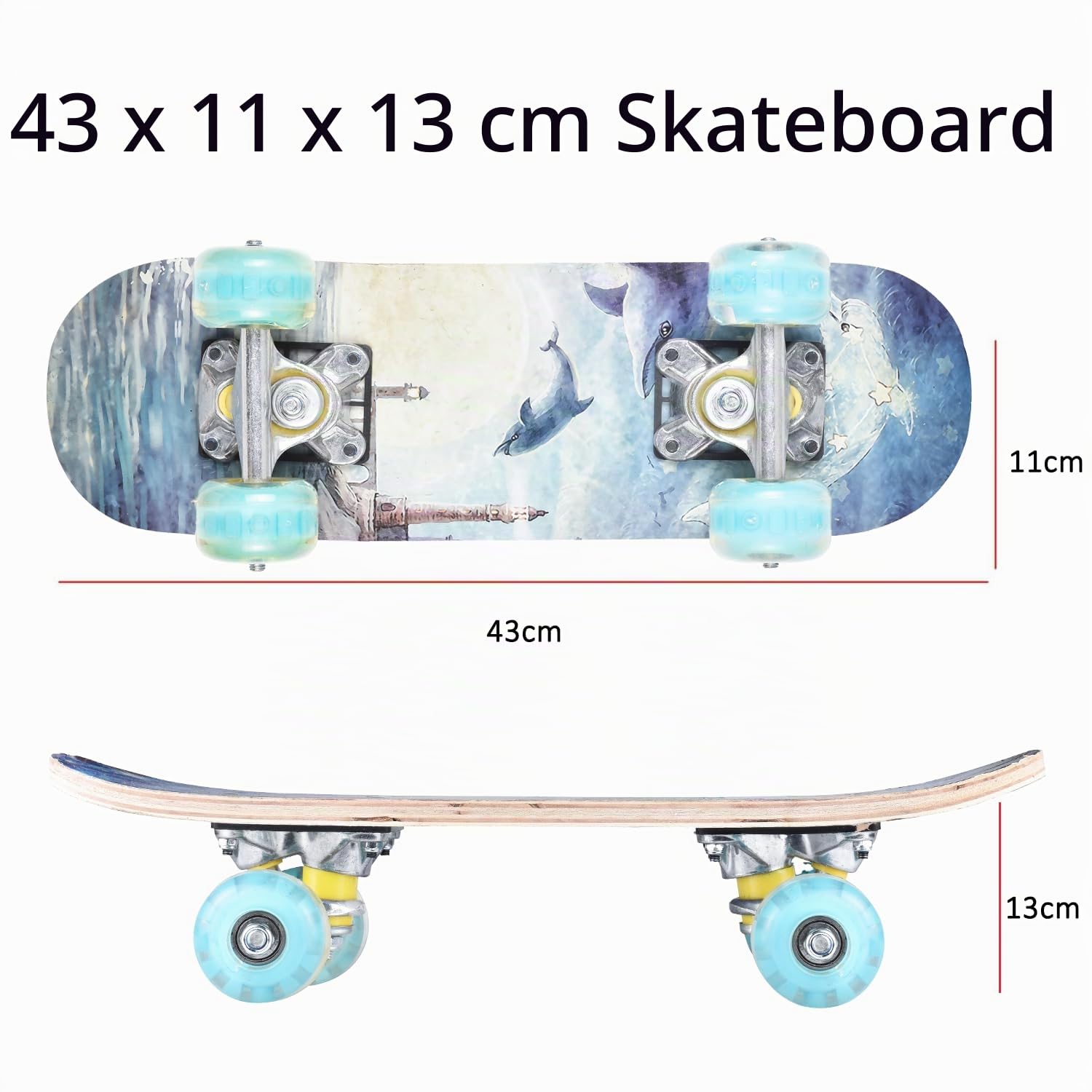 ERNAN Skateboard 17x5 Zoll Komplette für Kinder Jugendliche, komplettes Standard-Skateboards, 7 Schichten Ahorn-Deck, konkaves Skateboard (Dolphin)