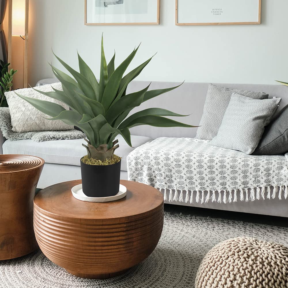 Decovego Aloe Vera Pianta Artificiale Albero Artificiale Plastica 54 cm