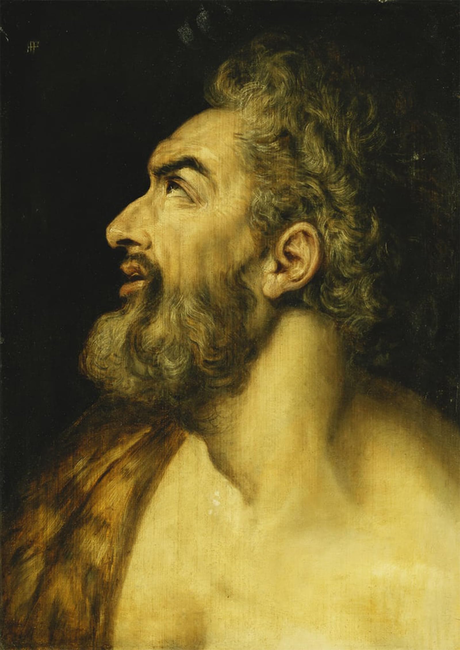 Tableau Tête de Saint Jean Baptiste Frans Floris 60x90cm - 5