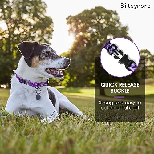 Miniatura 9 de BITSYMORE Martingale - Collar para perro, collar reflectante de nailon ajustable con hebilla, para perros pequeños, medianos y grandes. Evita que se
