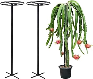 60-Inch Dragon Fruit Trellis - 2 Durable Metal Supports for Climbing Pla...