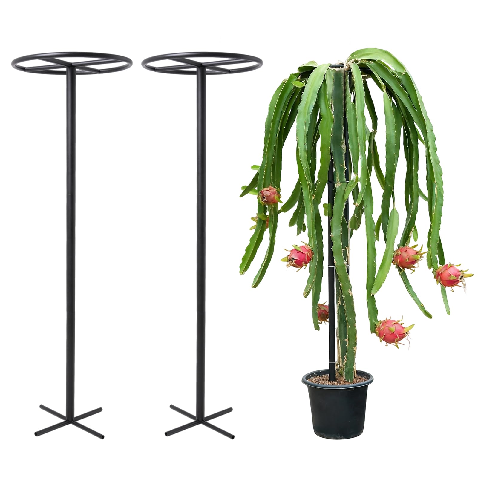 Goooxim 60-Inch Dragon Fruit Trellis 2-Pack