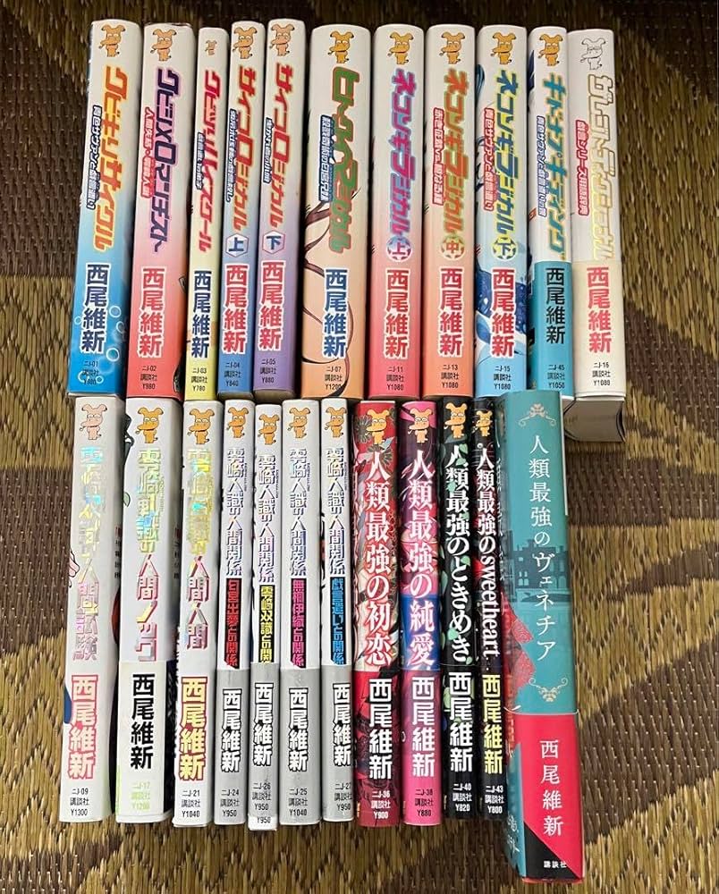 西尾維新　戯言シリーズ＋人間シリーズ　全巻セット 西尾維新 戯言シリーズ 人間シリーズ まとめ売り 全巻 セット