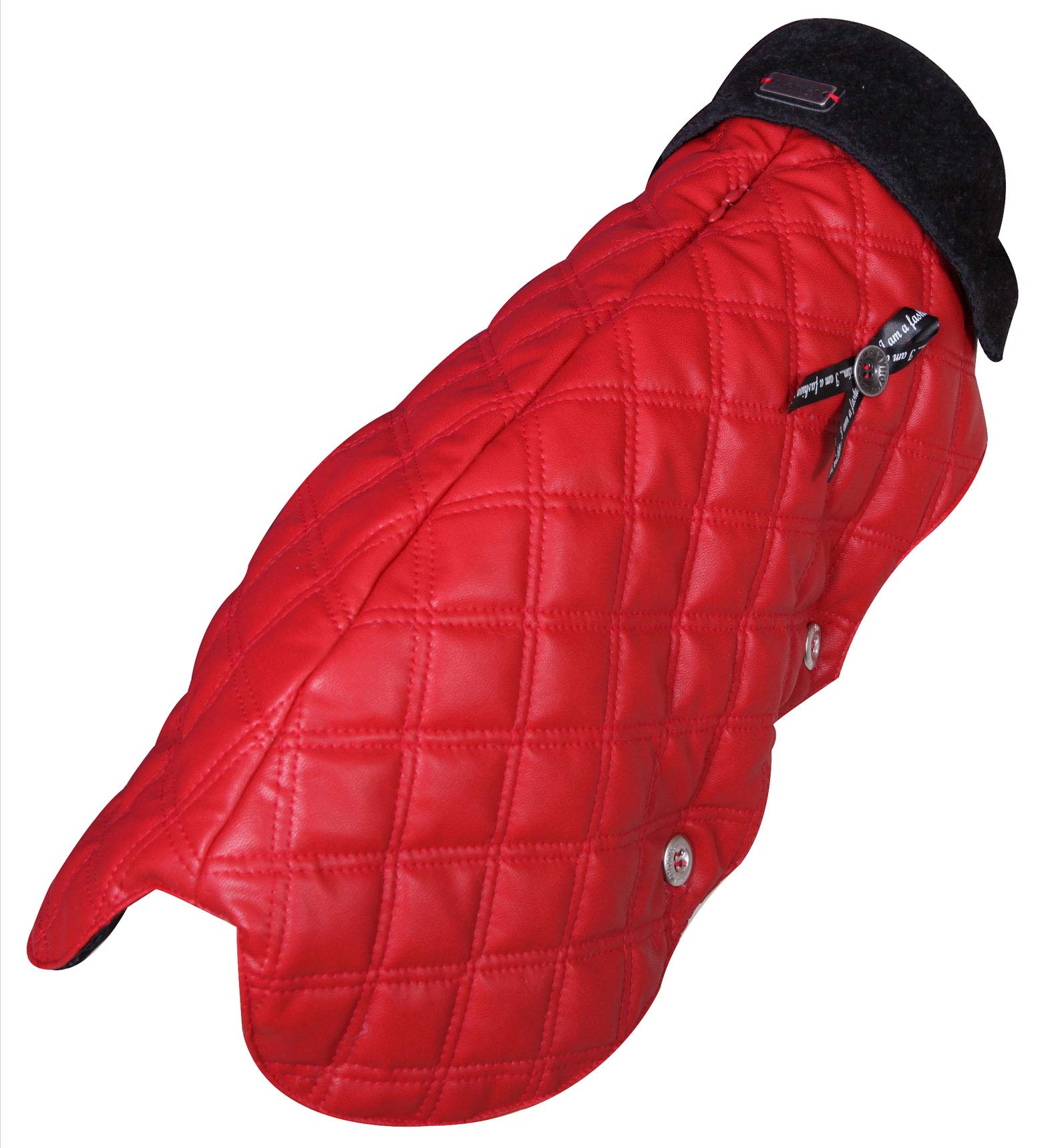 Manteau Groov Rouge Wouapy 40 pour balades du chien sous la pluie