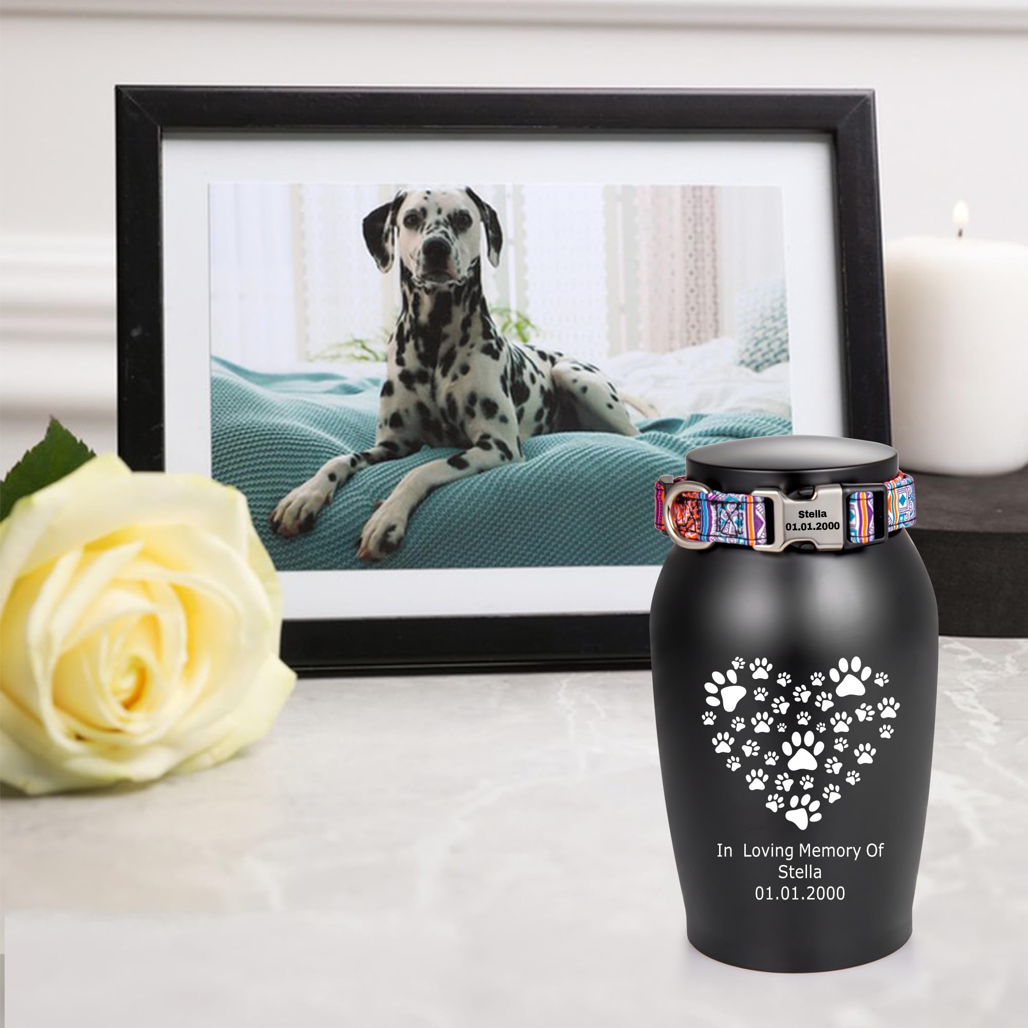 View 3