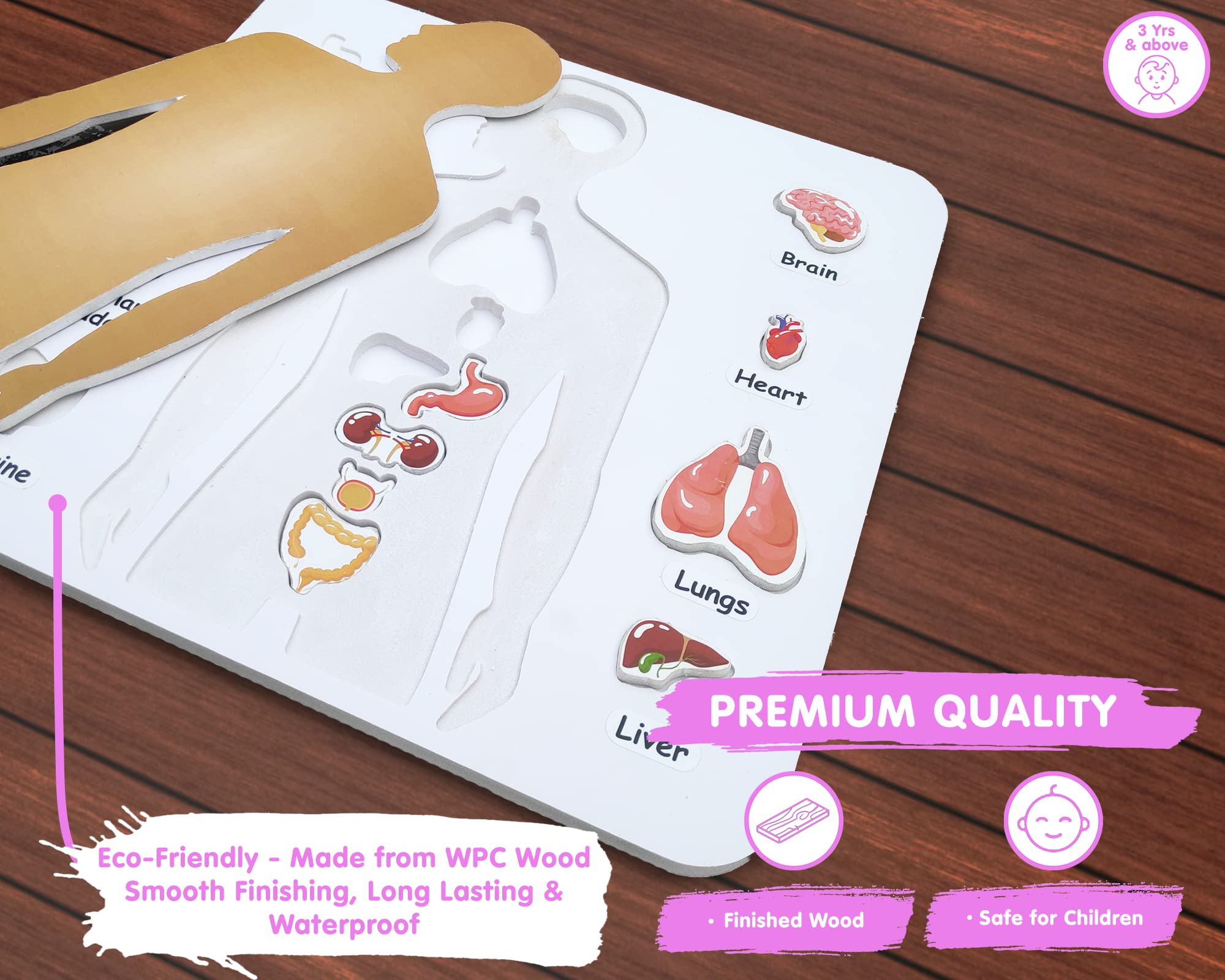 Preschool Game for Learning Human Body Parts Anatomy Skeleton - Educational Wooden Puzzles - Gift Toys for Boy and Girl - Image 8