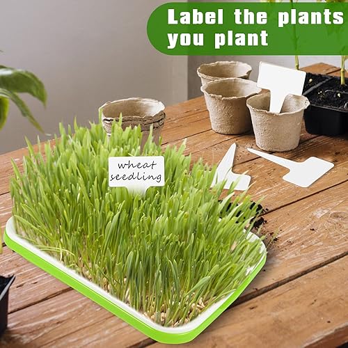 Miniatura 5 de 12 bandejas de germinación de semillas con 20 etiquetas de maceta y 12 papeles de cultivo germinantes, bandeja de vivero, bandejas de germinación de