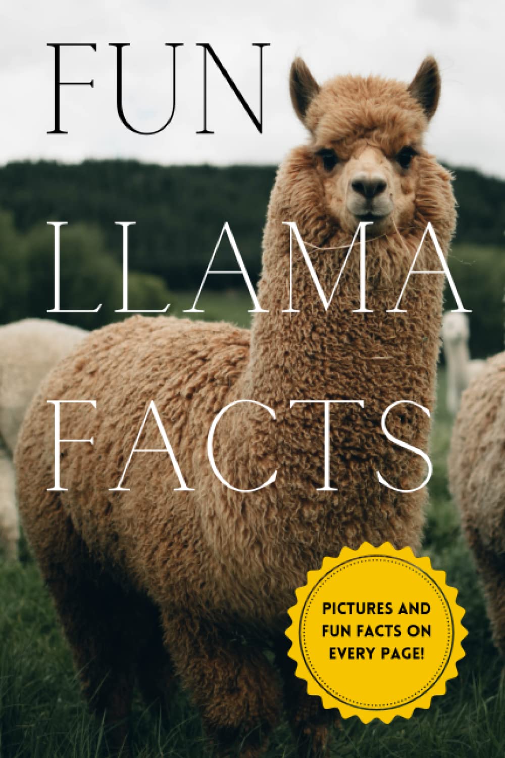 Fun Facts About llamas: Information About llamas and High Resolution Photos, Kids and Adults (Fun Facts About Animals and Creatures)