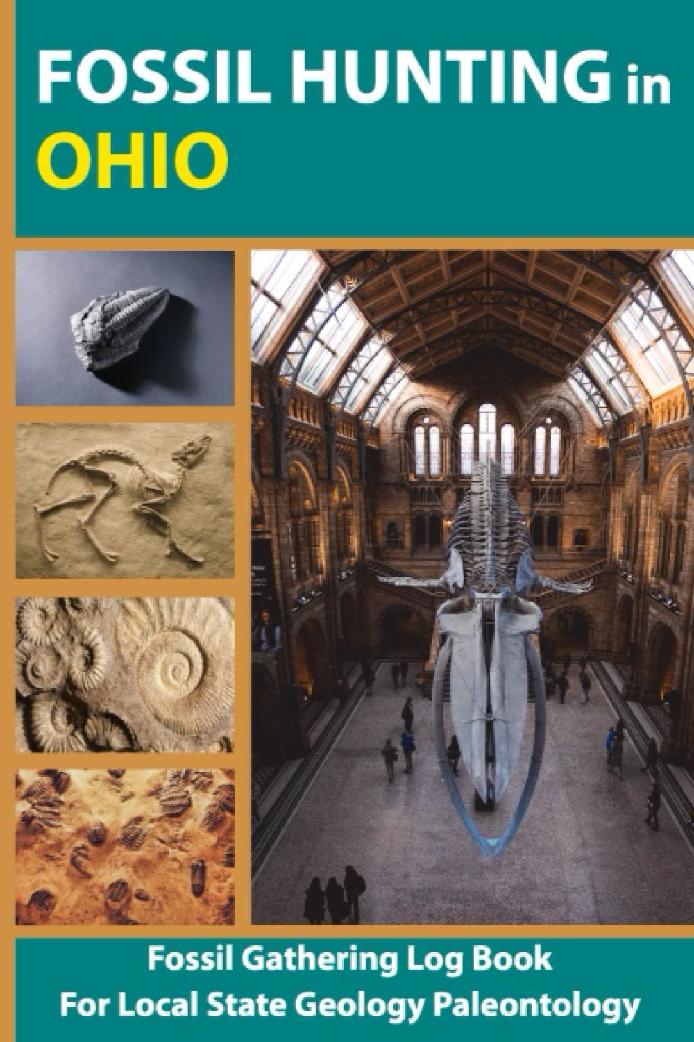 Arriba 92+ imagen ohio fossil hunting Abzlocal.mx