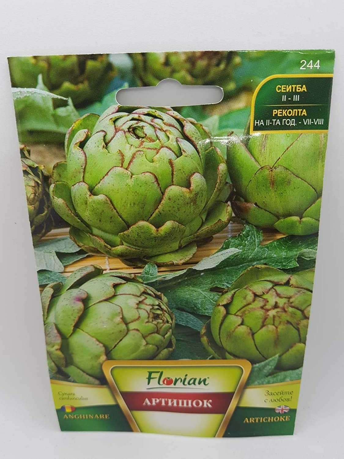 VibeX Artichoke Seeds"Flavourful Fruit Variety Artichoke"-50 Seeds (B0B9Y7CZG2) Amazon Price History, Amazon Price Tracker
