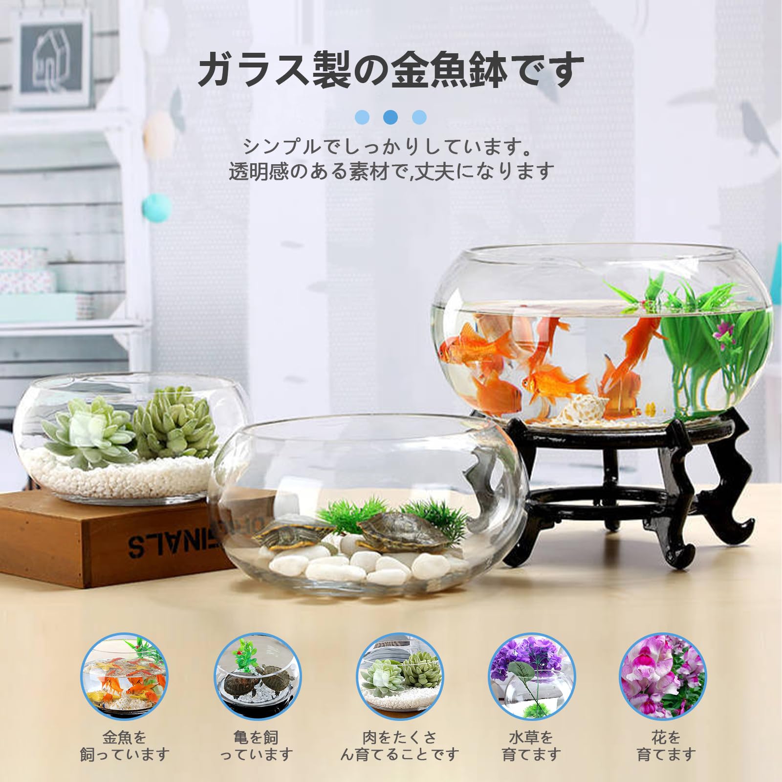Amazon | アクアリウム ボウル 金魚鉢 観葉植物 インテリア インテリア