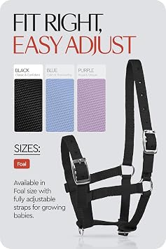 HORZE Adjustable Mini Horse Halter, Nylon Design for Foals, Colts, Fillies