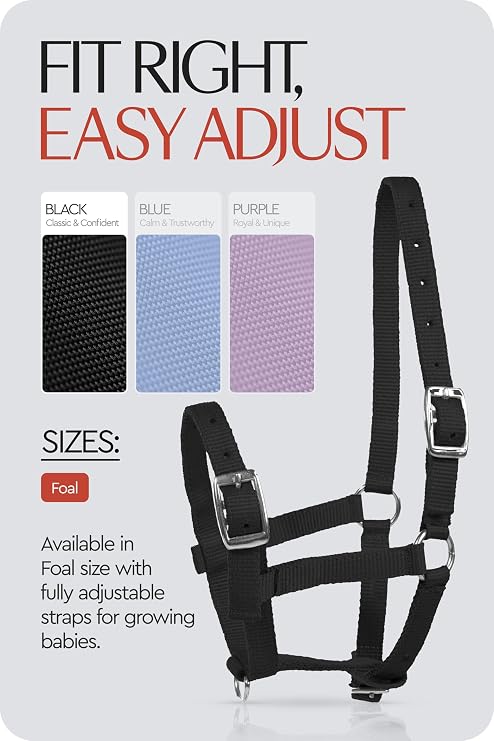 HORZE Adjustable Mini Horse Halter, Nylon Design for Foals, Colts, Fillies