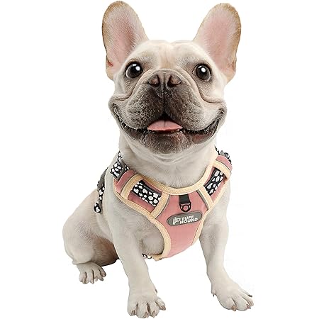 frenchie harness amazon