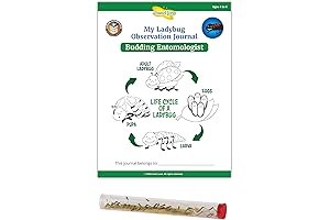 Insect Lore Ladybug Activity Journal with Tube of Ladybug Larvae
