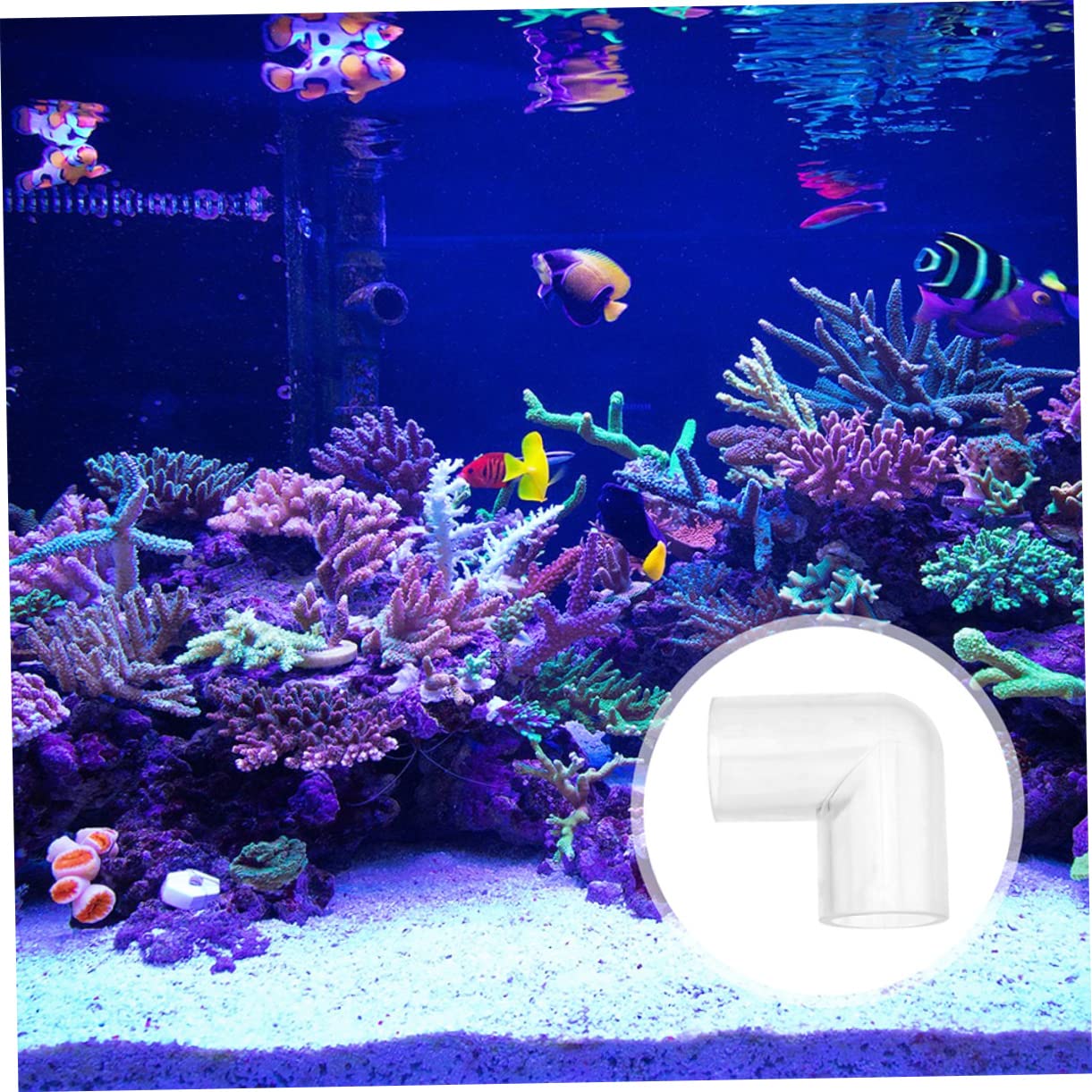 INOOMP 24 Piezas Conector De De Agua para Tanque De Peces Conectores De Conector De De Agua Conector De De Acrílico De Acuario Pecera