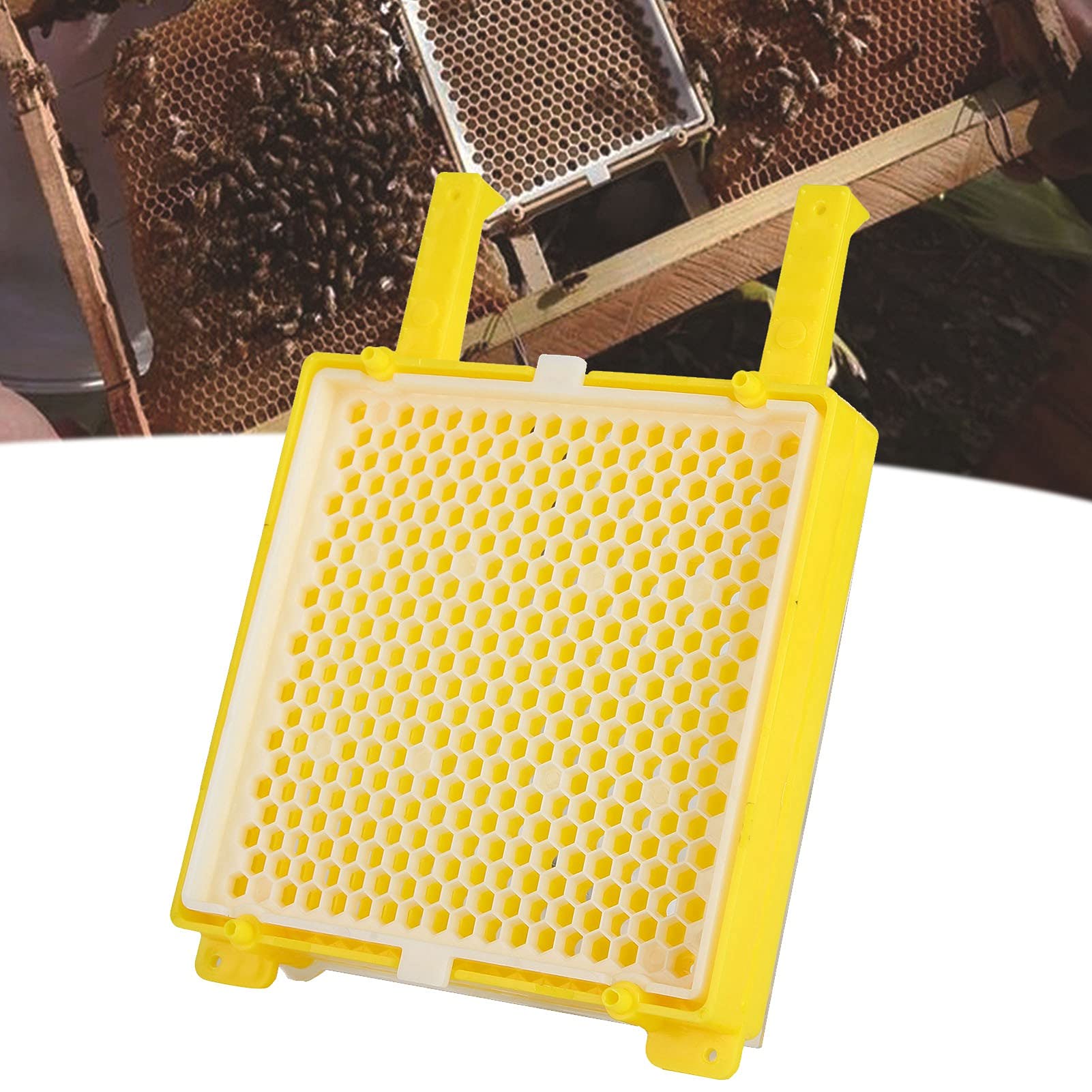Strumenti Per L'apicoltura, Scatola Per L'apicoltura, Kit Per Il Sistema di Apicoltura Scatola Per Il Sistema di Allevamento Dell'ape Regina Scatola Per L'allevamento Dell'apicoltura Kit Per Innesto