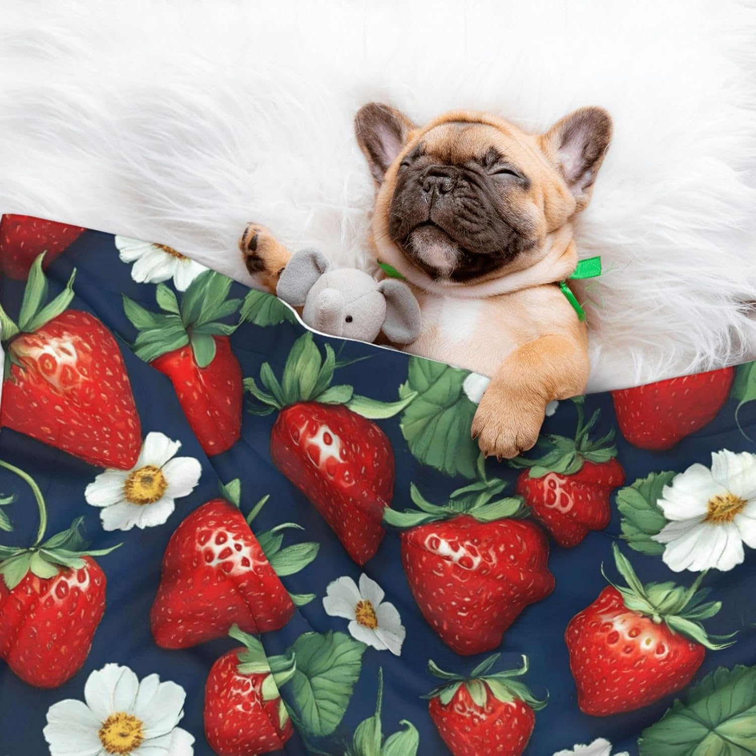 Strawberry2 Print Soft Plush Pet Blanket, Washable Dog Blanket, Cat Fleece Throw, Puppy Bed Crate Mat & Sofa Couch Protector - Large