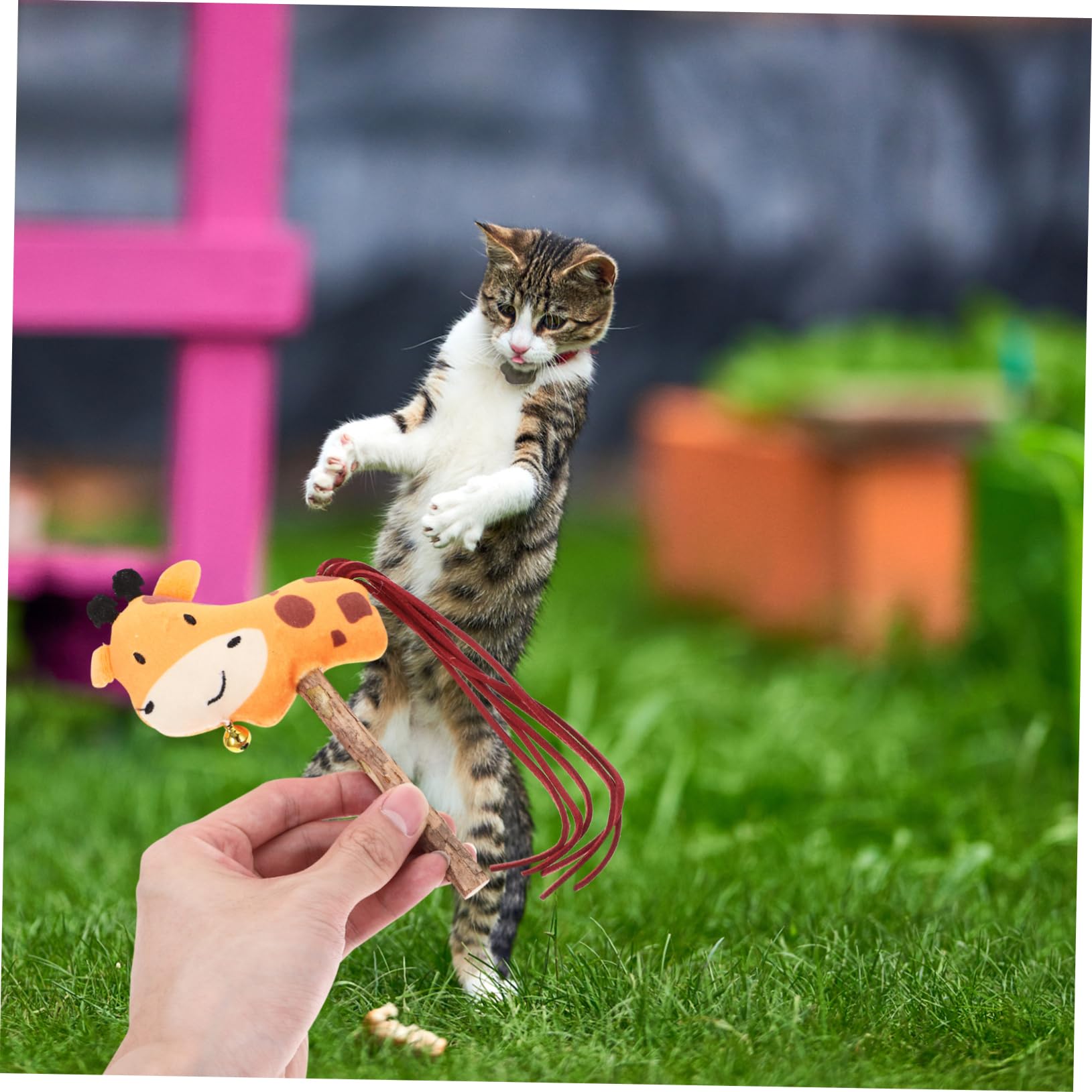 Cat Teaser Stick - Juguete interactivo para masticar hierba gatera para jugar y hacer ejercicio