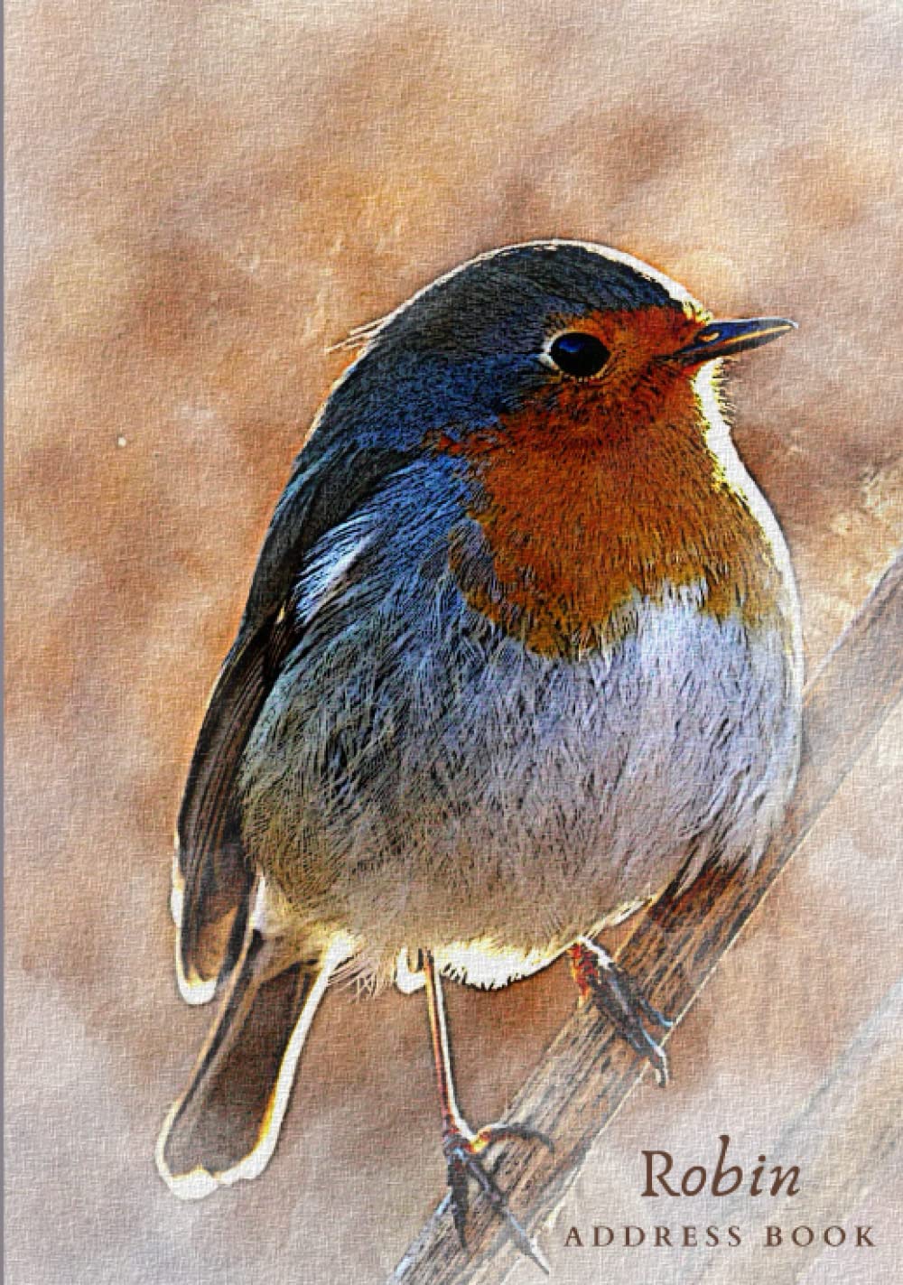 Robin Address Book: Gift Quality | Alphabetical Addresses | Anniversaries & Birthday Reminder | Meanings | Notes & Personal Information | Robin Watercolour Design | Ideal Robin Redbreast Gift