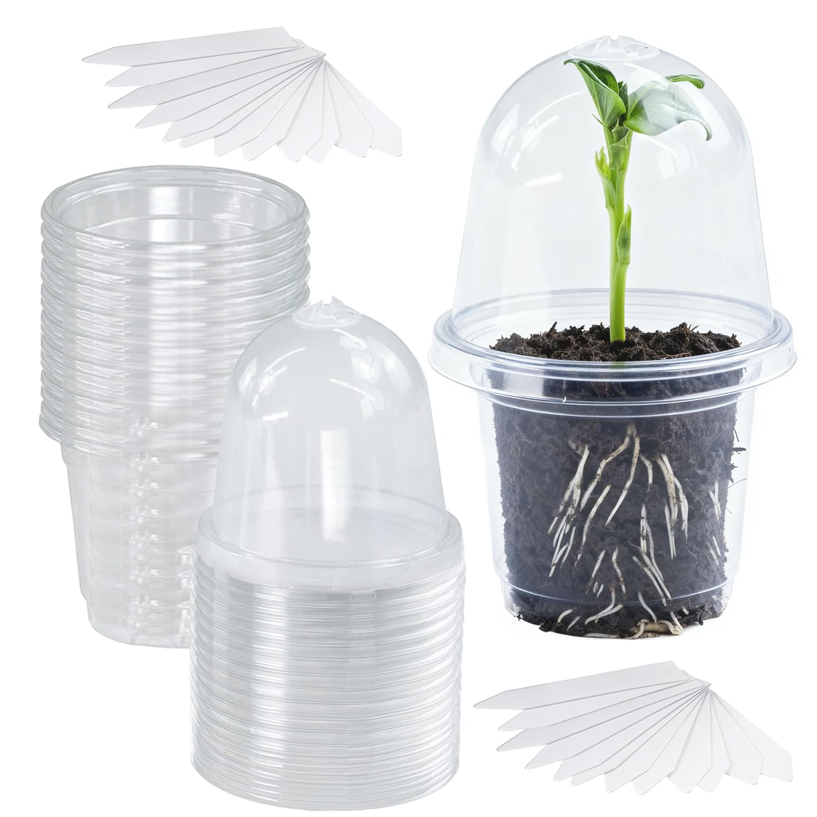 Pot de Fleurs, 24 Pièces Pot Transparent Plante avec Couvercles, 9 cm de Diamètre, Pots de Culture en Plastique, Pots de Fleurs avec 24 Étiquettes Plates, pour Plantes Grasses, Semis