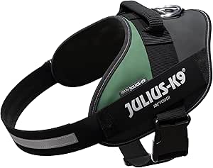 Arnés Idc Stealth Powerharness, Marca Idc, Talla Xl/2 | Cuotas sin interés