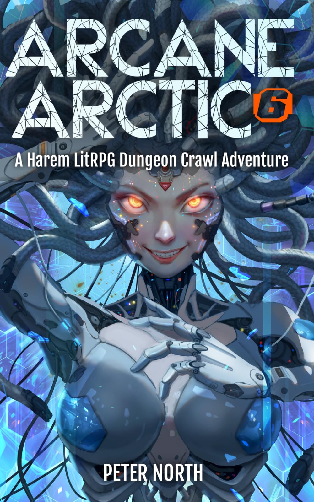Arcane Arctic 6: An H-LitRPG Dungeon Crawl Adventure for Men