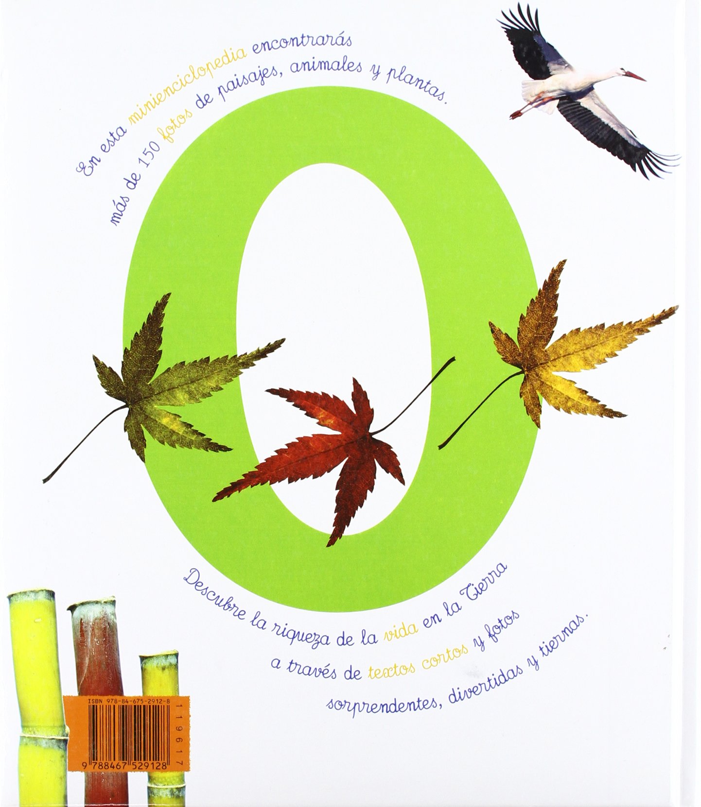 Mi enciclopedia de la naturaleza