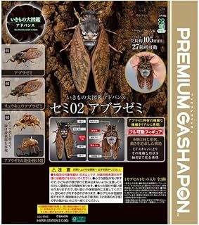 いきもの大図鑑アドバンス セミ02 アブラゼミ[全3種セット(フルコンプ)] ガチャ ガチャガチャ