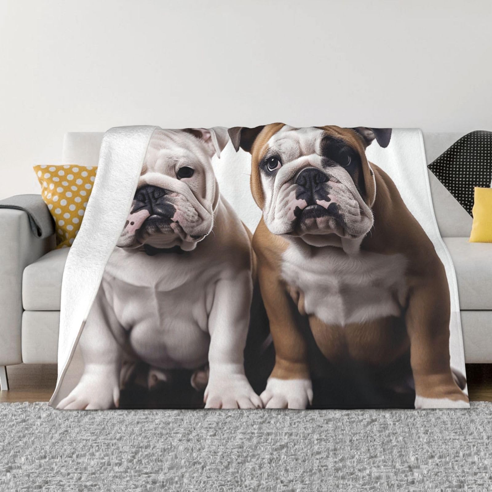 Fodpand Black Two Cute Bulldog Dogs Flannel Blanket 60"X50" - Ultra-Soft Lightweight Throw Blanket For Bed, Sofa, And Couch - Luxury Air Conditioning Blankets - Cozy Warm Blankets For All Seasons