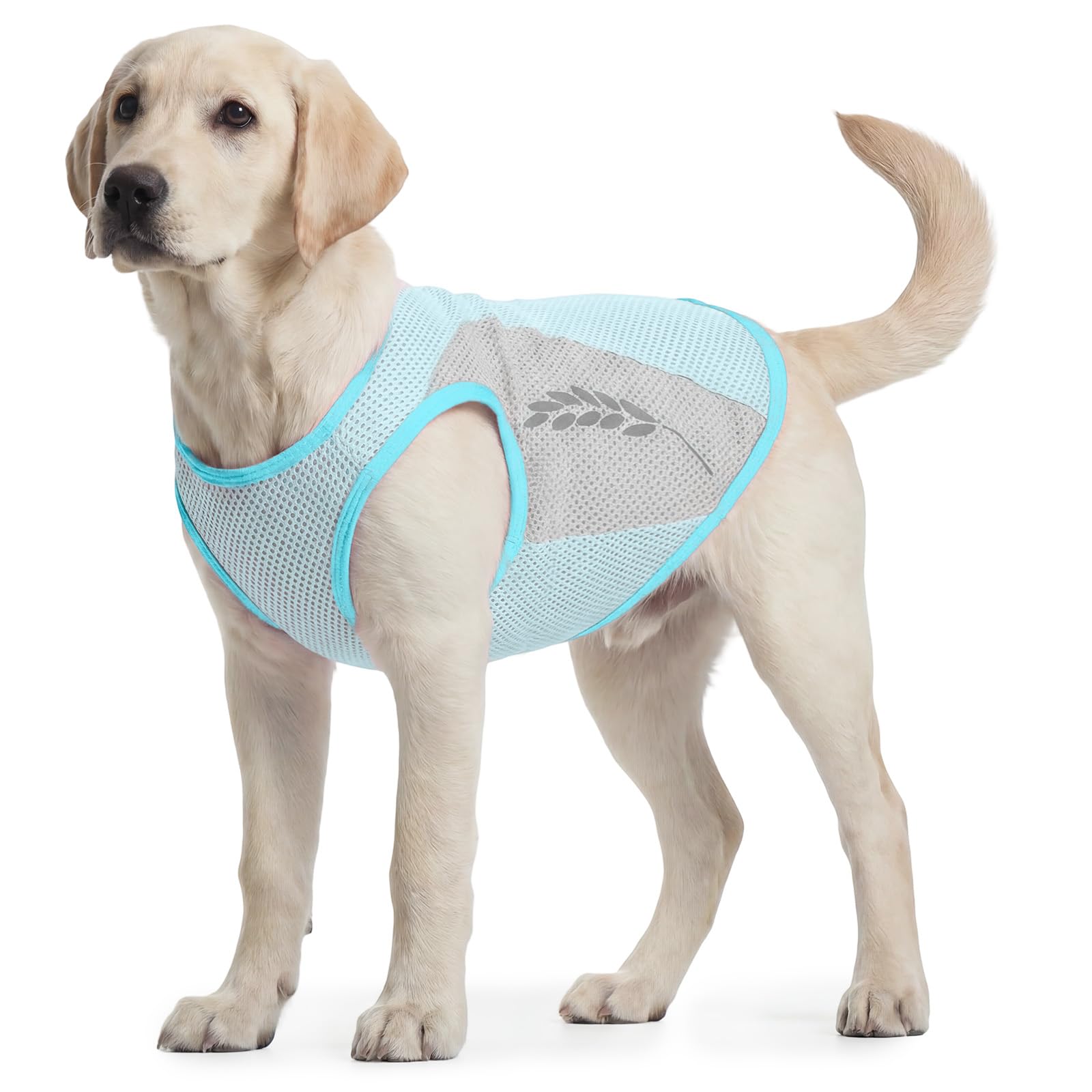 Giubbotto refrigerante per cani, grande, traspirante, estivo, fresco e confortevole, mantiene il vostro animale domestico fresco nella stagione calda (blu, 9XL)