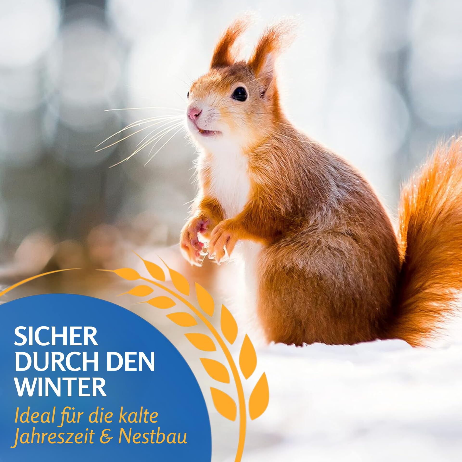 Leimüller Mangime Premium scoiattoli 5kg - Noci, Cereali & camole - Nutriente & naturale per scoiattoli e tamie - Qualità Austriaca dal 1609
