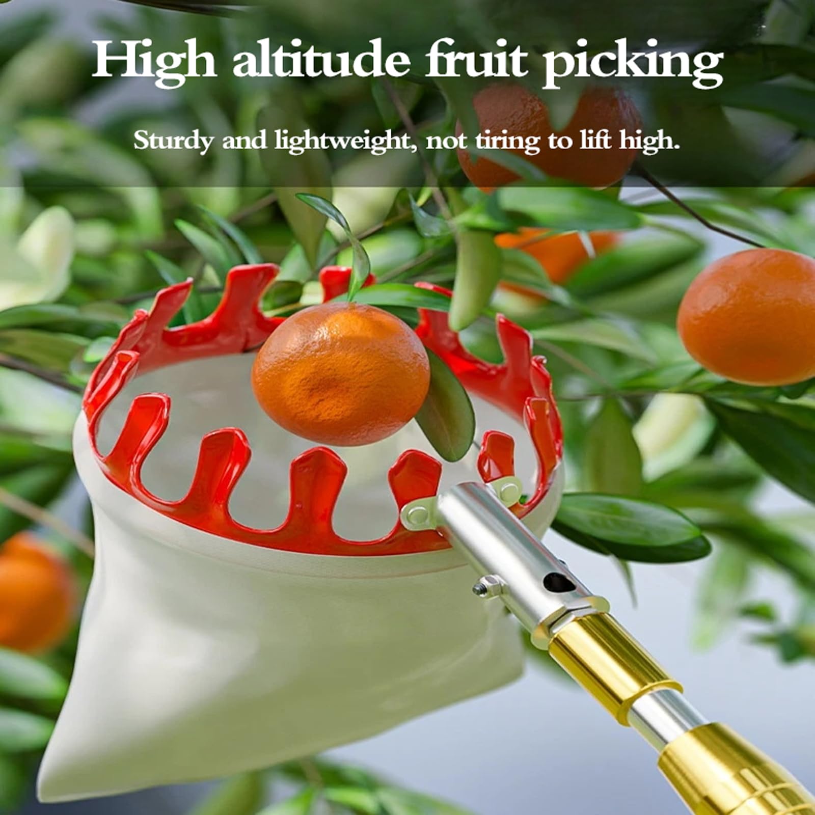 Attrezzo Raccogli Frutta,Raccogli Frutta Telescopico,Raccoglitore di Mele,Asticcio Raccoglifrutta Telescopico,Facile da Montare,per Raccogliere Fruttas da Luoghi Alti