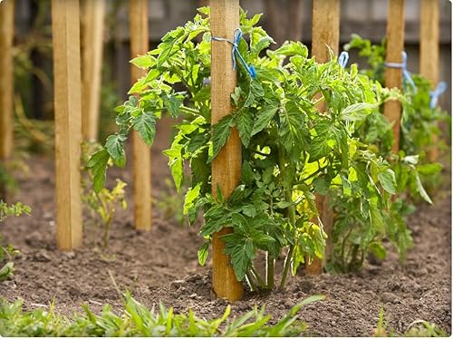 Miniatura 3 de Greenes Fence Estacas de jardín y poste de letrero de 4 pies (paquete de 75)