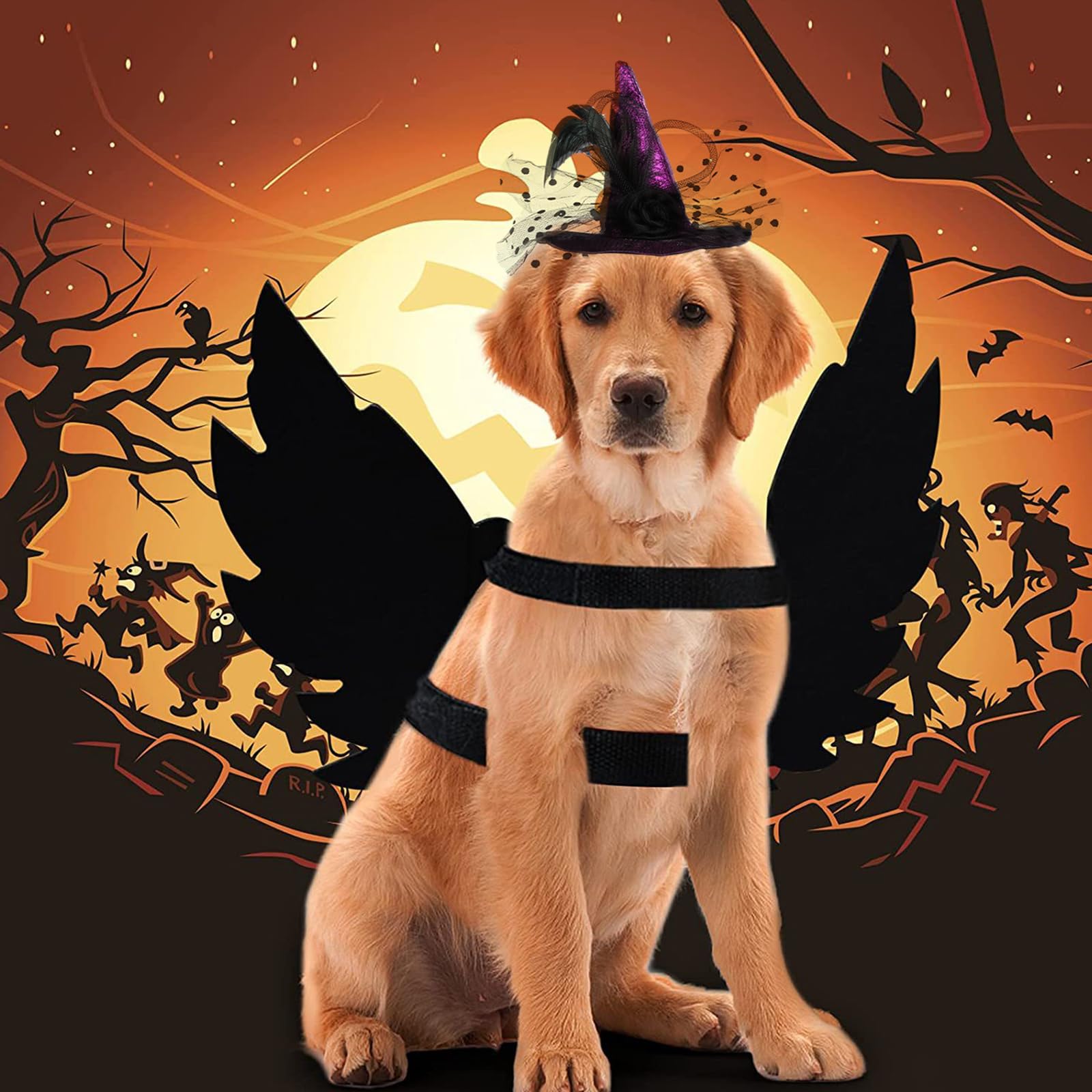 Adjustable Witch Hat For Cats & Dogs - Halloween Pet Costume Black Felt Hat