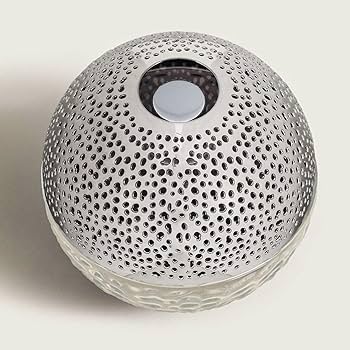 71j7OSRoSWL._AC_UF350,