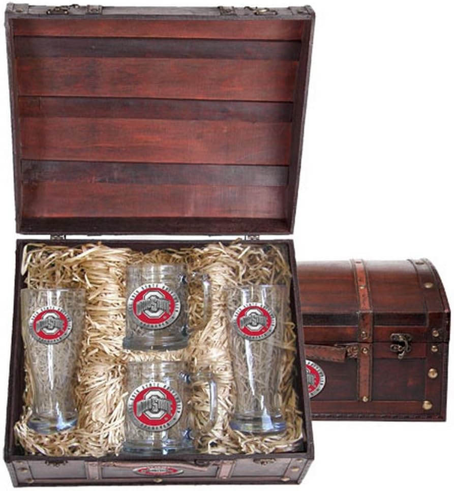 Ohio State Buckeyes Beer Glass and Stein Gift Set