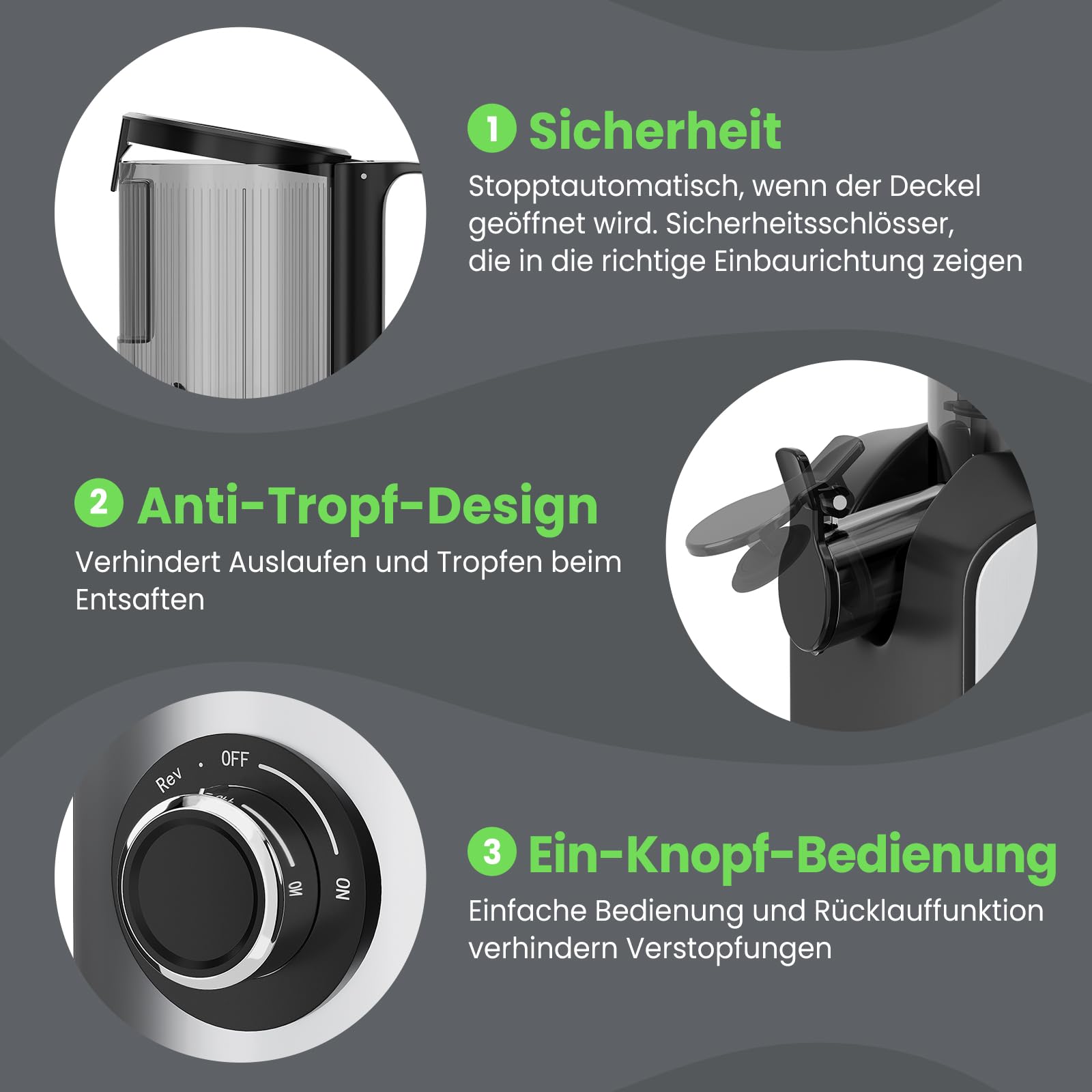 HOMELUX Sokowirówka 220 W Slow Juicer, 126 mm, otwór wlotowy do całych warzyw i owoców, elektryczna wyciskarka z 2 filiżankami, szczotka do czyszczenia, nie zawiera BPA, łatwa do czyszczenia, srebrna