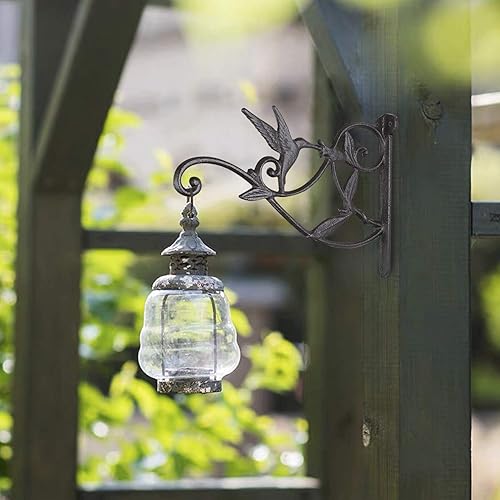 Miniatura 6 de 2 ganchos para plantas al aire libre para pared o valla, soporte para plantas colgantes de colibríes, colgador de plantas de hierro fundido