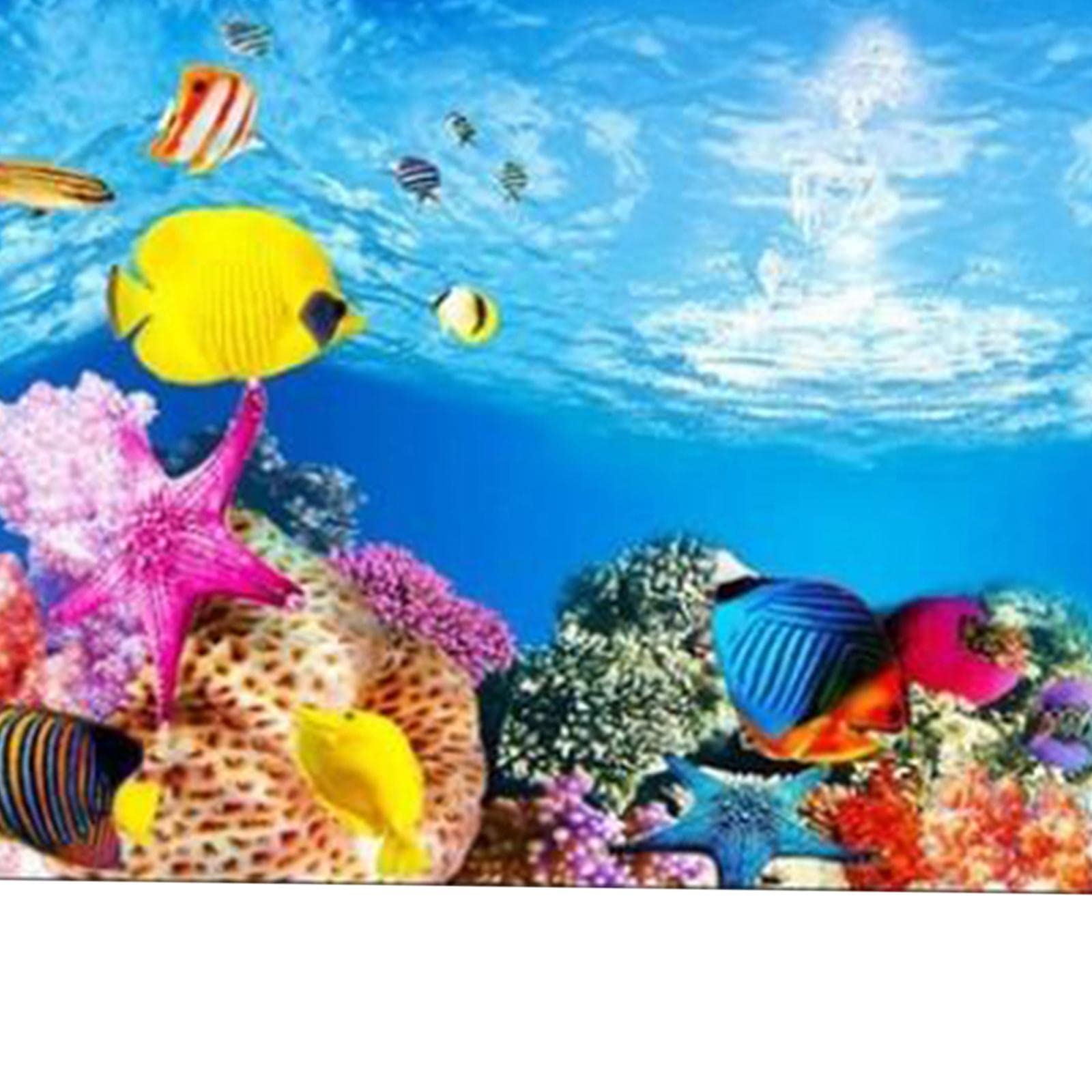 Poster Aquarium Sticker Aquarium Poster Image Décoration PVC Autocollant Doubleface Convient pour Bureau