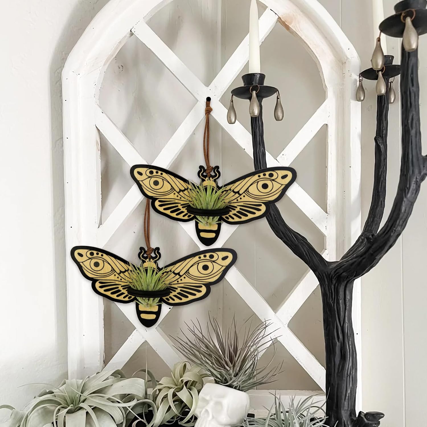 Laisgee Death Head Moth Airplant Holders, Gothic Wall Hanging, Skull Moth Indoor Planter Halloween Witchy Wood Air Fern Holders for Plant Lover Bug Collector, 2 PCS