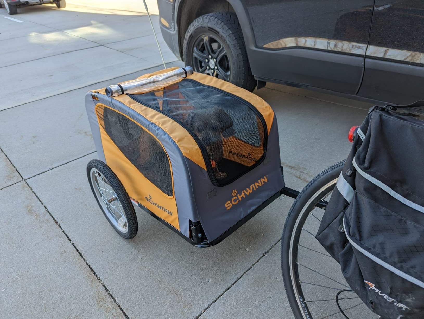 19/mo Finance Schwinn Rascal Bike Dog Trailer, Carrier for Small and