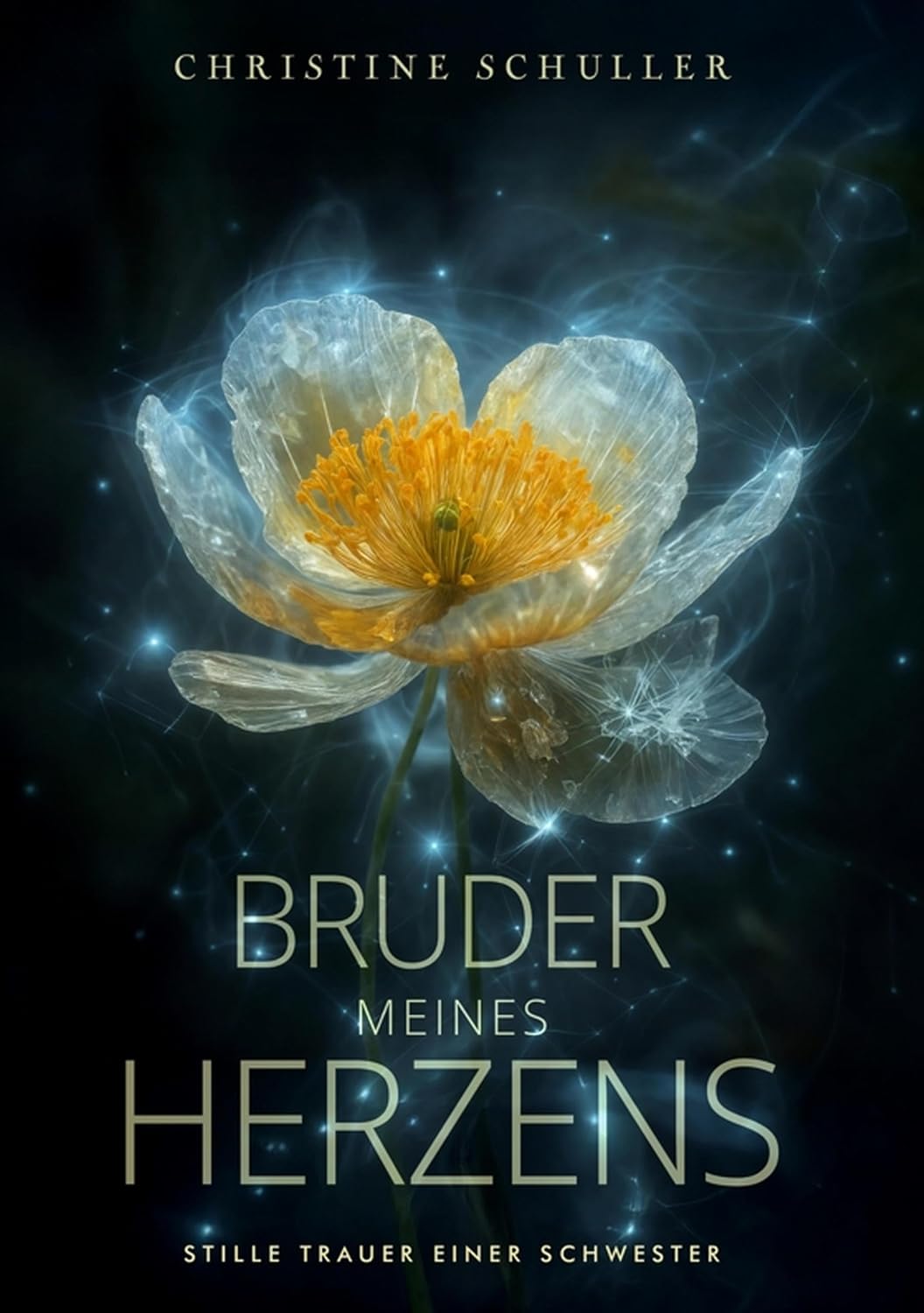 Bruder meines Herzens: Stille Trauer einer Schwester (German Edition)
