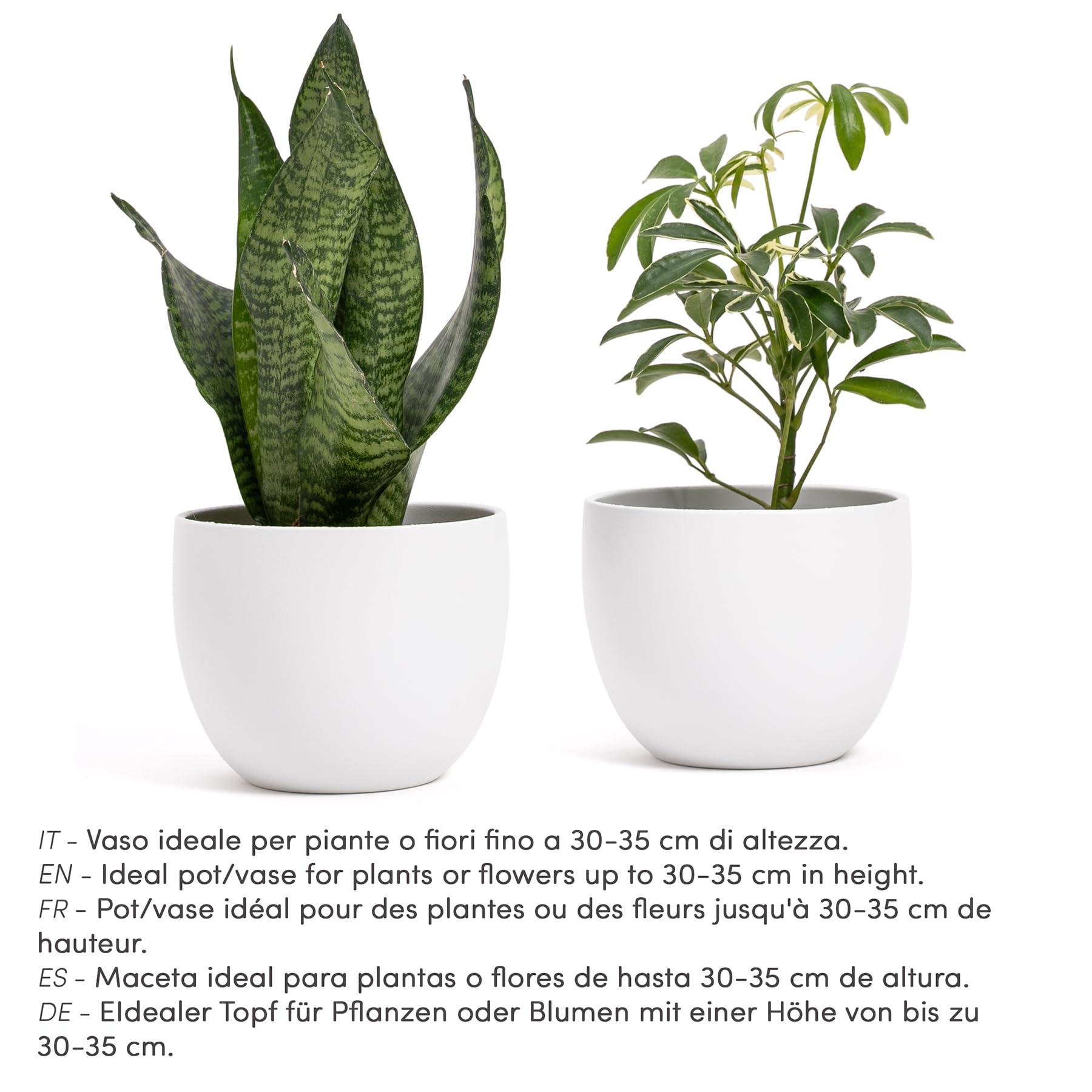 Elegante jarrón de Terracota | Blanco Mate | para Interior o Exterior | D.12,5 cm - H.13 cm | Maceta Decorativa Moderna para Plantas, Flores, Plantas suculentas, orquídeas, Sansevieria (2 x – Ø 12,5