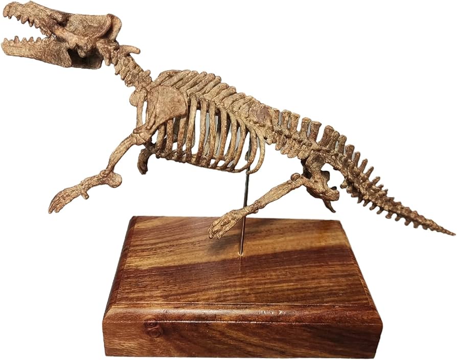 木彫　三畳紀の爬虫類 ポストスクス　頭骨模型　約1/10スケール 木彫 三畳紀の爬虫類 ポストスクス 頭骨模型 約1/10スケール