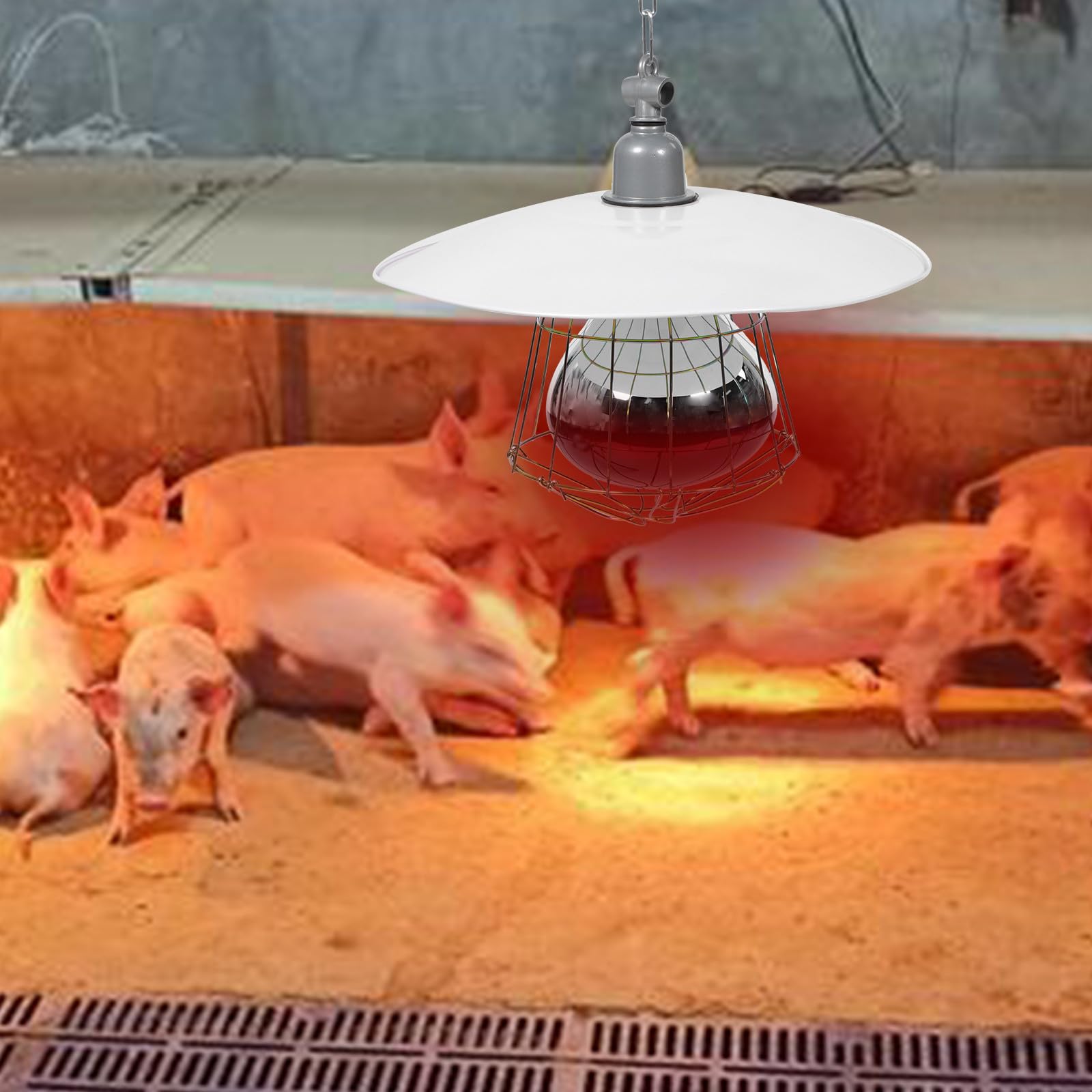 Lampada Riscaldante per Animali Bianco in Metallo Resistente Colore Casuale Non Facile da Deformare per Incubatrice di Bestiame e Gabbie per Animali Domestici