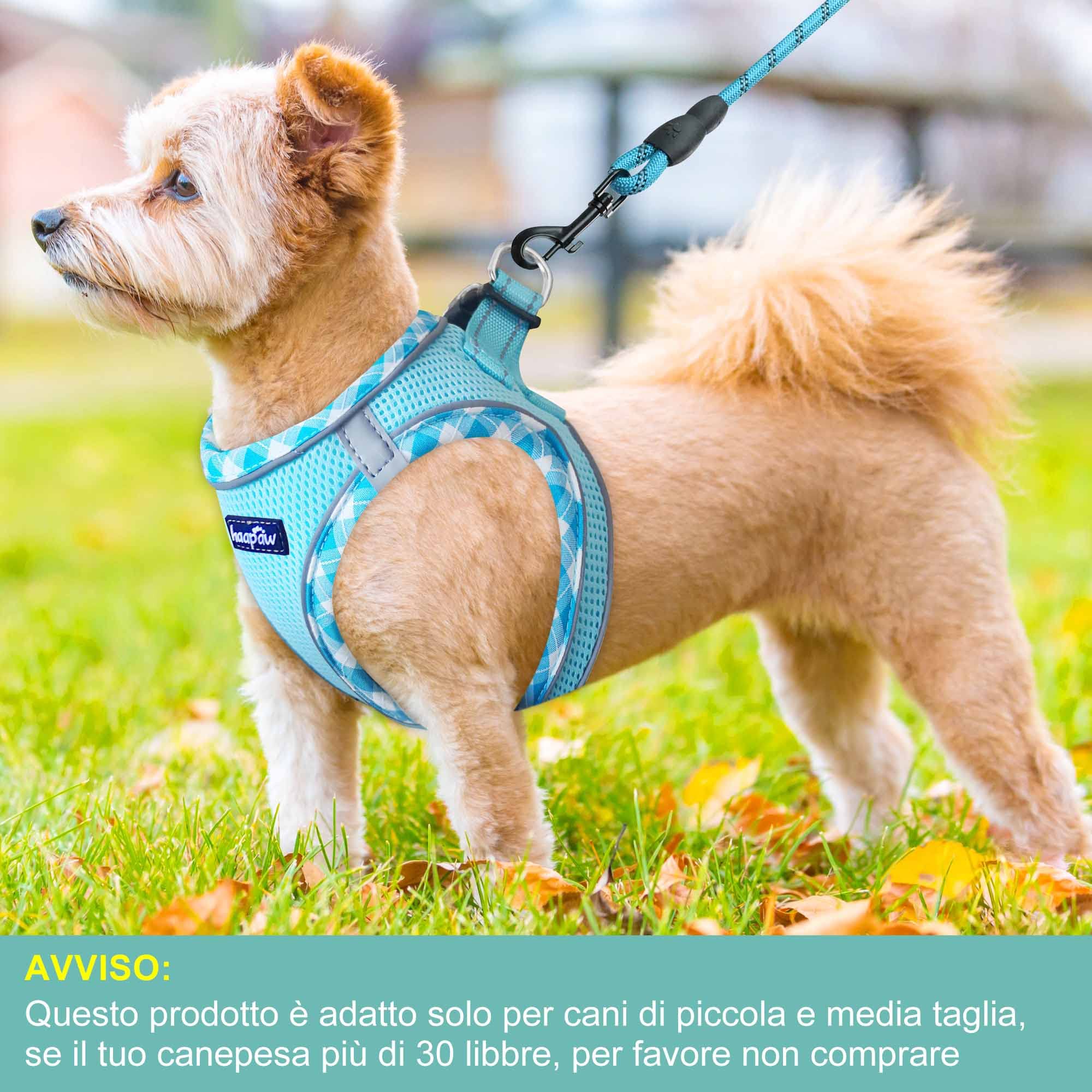 haapaw Pettorina per cani e guinzaglio, senza tirare, regolabile, riflettente Step-in, pettorina imbottita ispessita, per cani extra piccoli/piccoli e medi