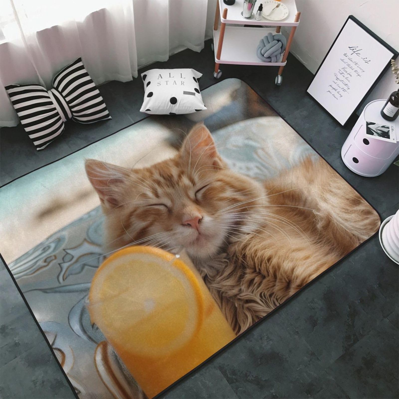 Tapis apaisant pour chat avec zone de jus d'orange pour salon, chambre à coucher, tapis lavable doux, 7,6 x 12,7 cm, antidérapant, tapis de sol intérieur pour décoration
