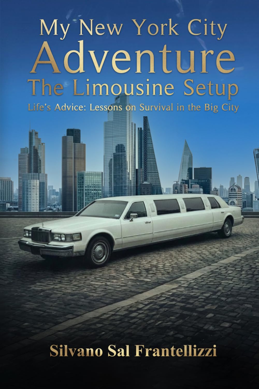 My New York City Adventure: The Limousine Setup